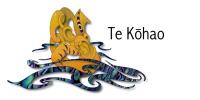 TeKohao